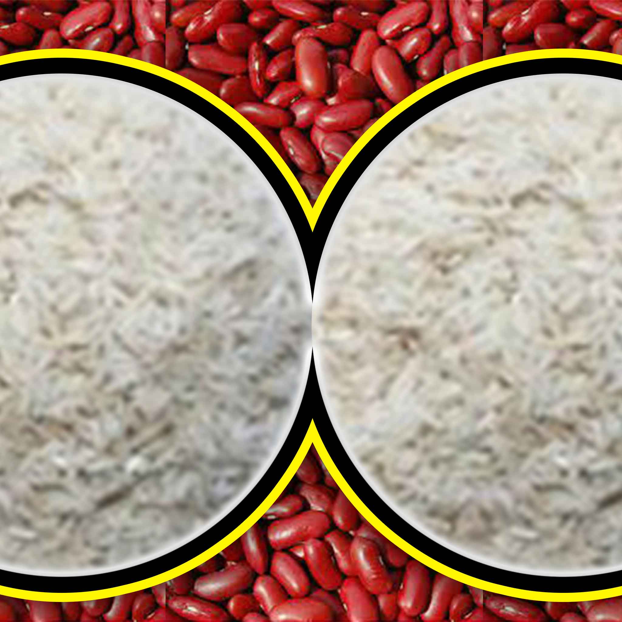 مشاوره تغذیه دام